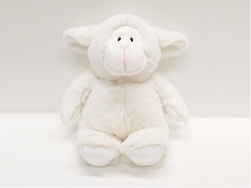 Warm Buddy Cuddle Buddy