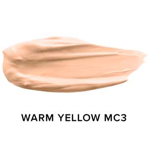 Mousse Foundation