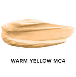 Mousse Foundation