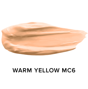 Mousse Foundation