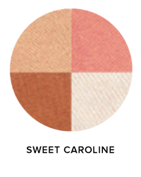 Quattro Blusher Shadows